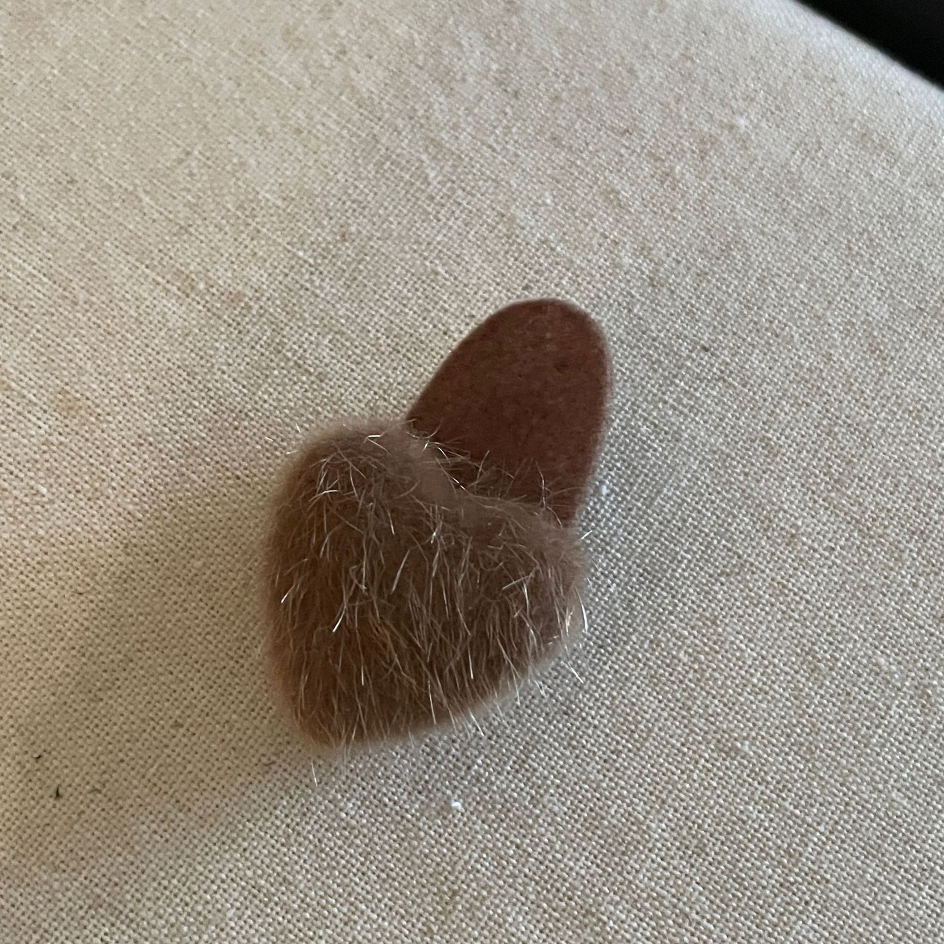 微信图片_20231023215020