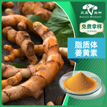 定制脂质体姜黄素50%-70%姜黄提取粉末肽生物包裹原料458-37-7