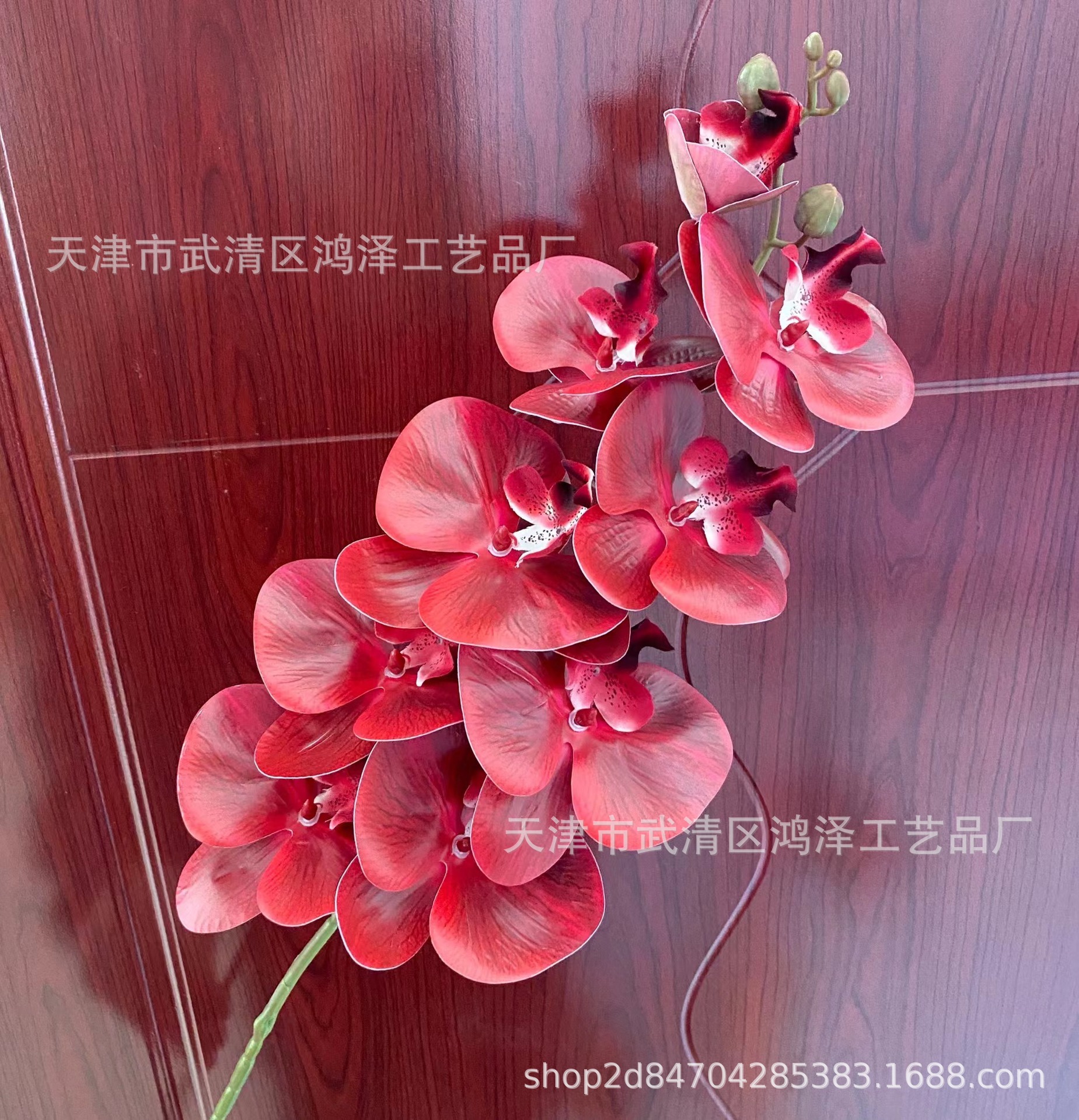 9 머리 3D 호접란