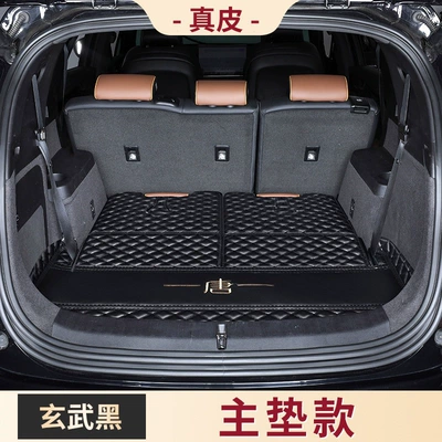 Trunk Mat: mat full coverage for 2024 - xuanwu-black-main-cushionminimalism-default-item