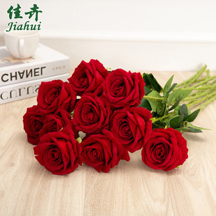 ���滨õ���c�b͏d�[���ٻ����˹��ָ�õ�廨�ٲ����컨