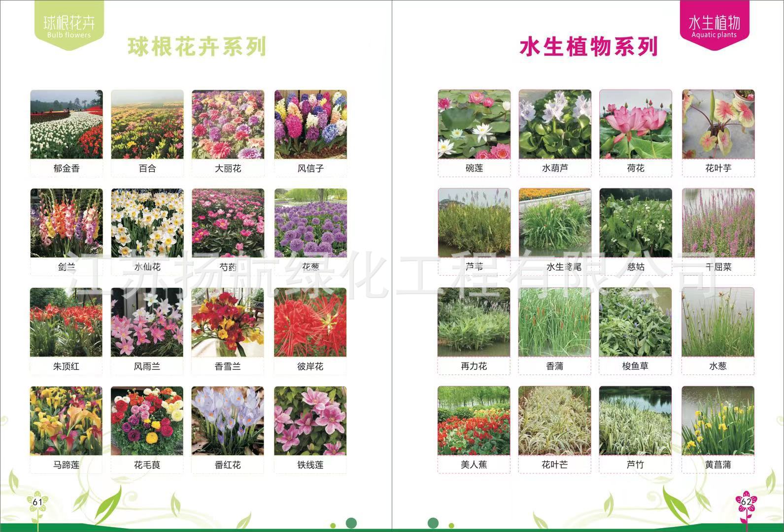 ΢��ͼƬ_20211022102558