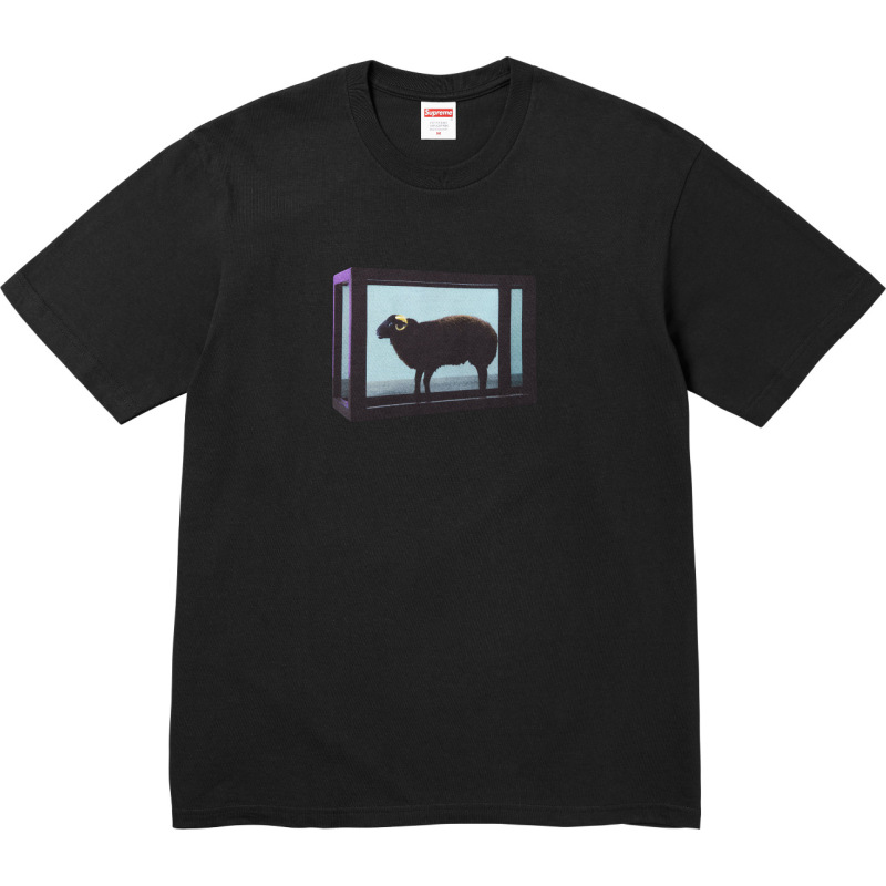 SUP潮牌SS25  Short-sleeved T-shirt 美潮街潮短袖T恤|undefined