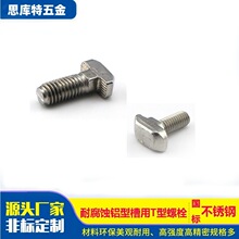 支持定 制T型螺丝铝型槽用T型螺栓欧标铝型材配件 t形锤头船头螺