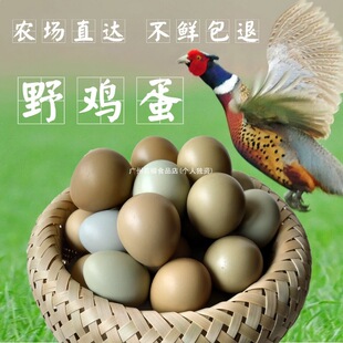 �߲�ɽ�u��60ö�r���s�Zɢ�BҰ���u�����u����l�����oʳ Ұ�u��