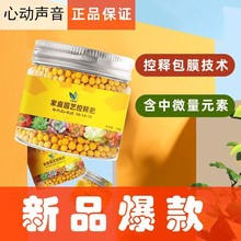 家庭园艺控释肥复合肥补充氮磷钾包膜肥绿植花卉通用肥厂家直供