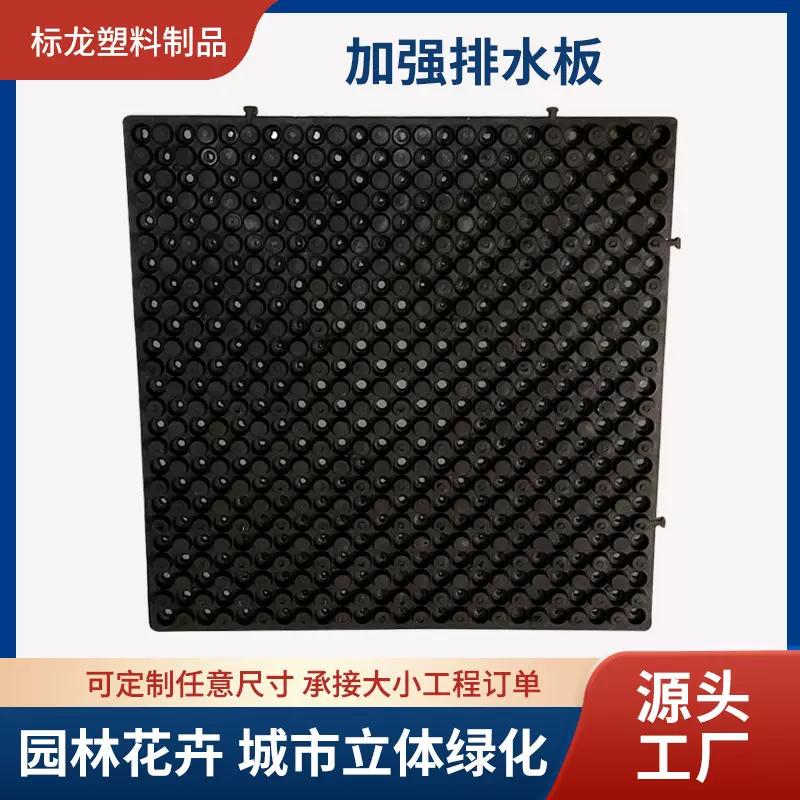 厂家直供 蓄排水板2公分高屋顶绿化种植屋面 凹凸排水板