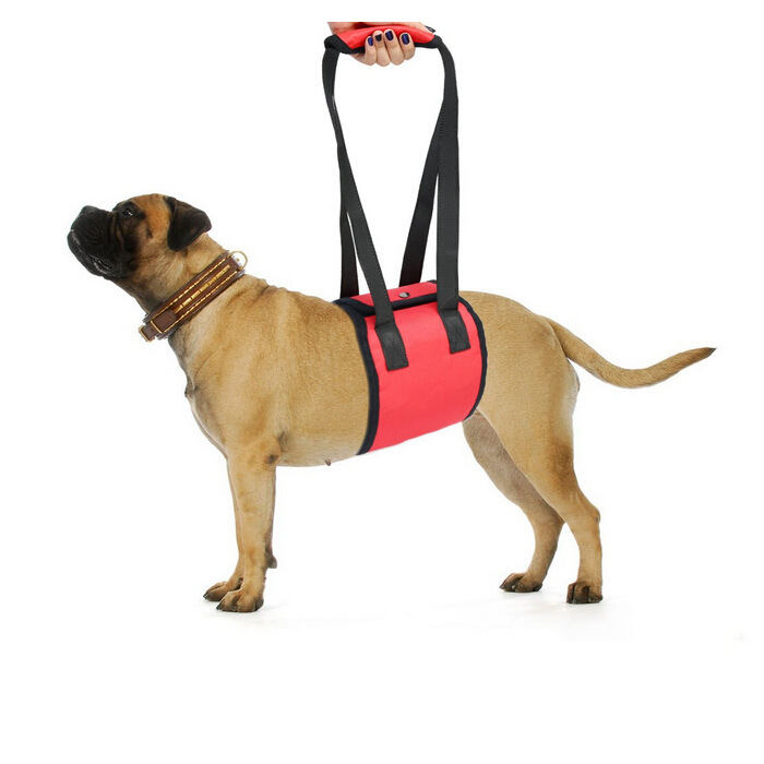 Senior Dog Support Harness For Rehabilitation And Mobility Aid_voghion.com