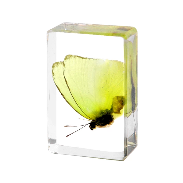 4.5CM small light yellow white butterfly