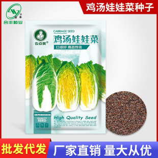 �u�����޲˷N���ļ��S�İײ����r�����˰ײ��Ѽ�ͥ�ͺ��߲˷N��