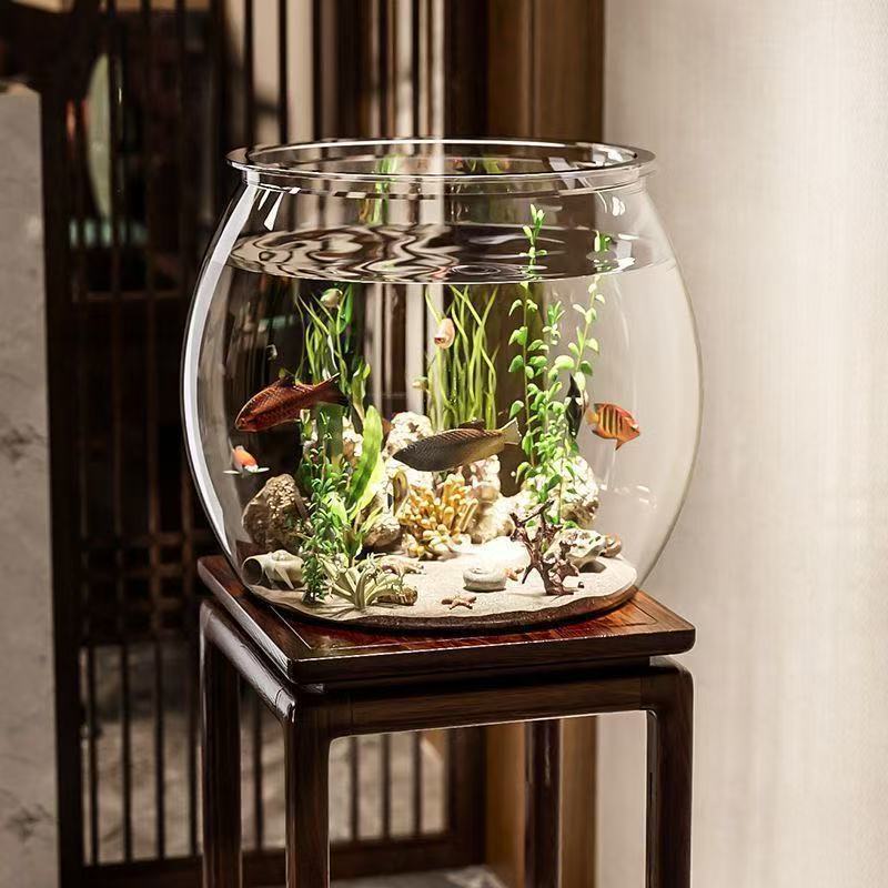 8613d3a6-2368-48a2-a866-1e5dcd64d1c5.jpe