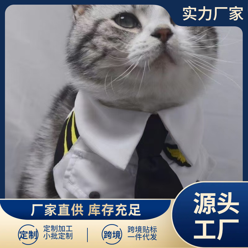 애완견과 고양이, 멋진 캡틴 유니폼 스카프, 공군 비행기 옷, 애완동물 재미있는 옷, 테디 비숑