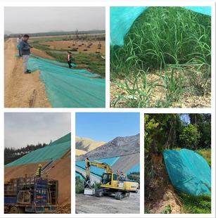 �G���o�������l�w�����m�o���������o�o������Ĥ�@�־G���o����