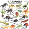 DDL beetle insect lizard 18 set