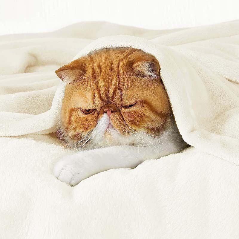 Manta de franela de color sólido Manta de siesta de oficina gruesa blanca lechosa de terciopelo francés liso Manta de regalo a medida