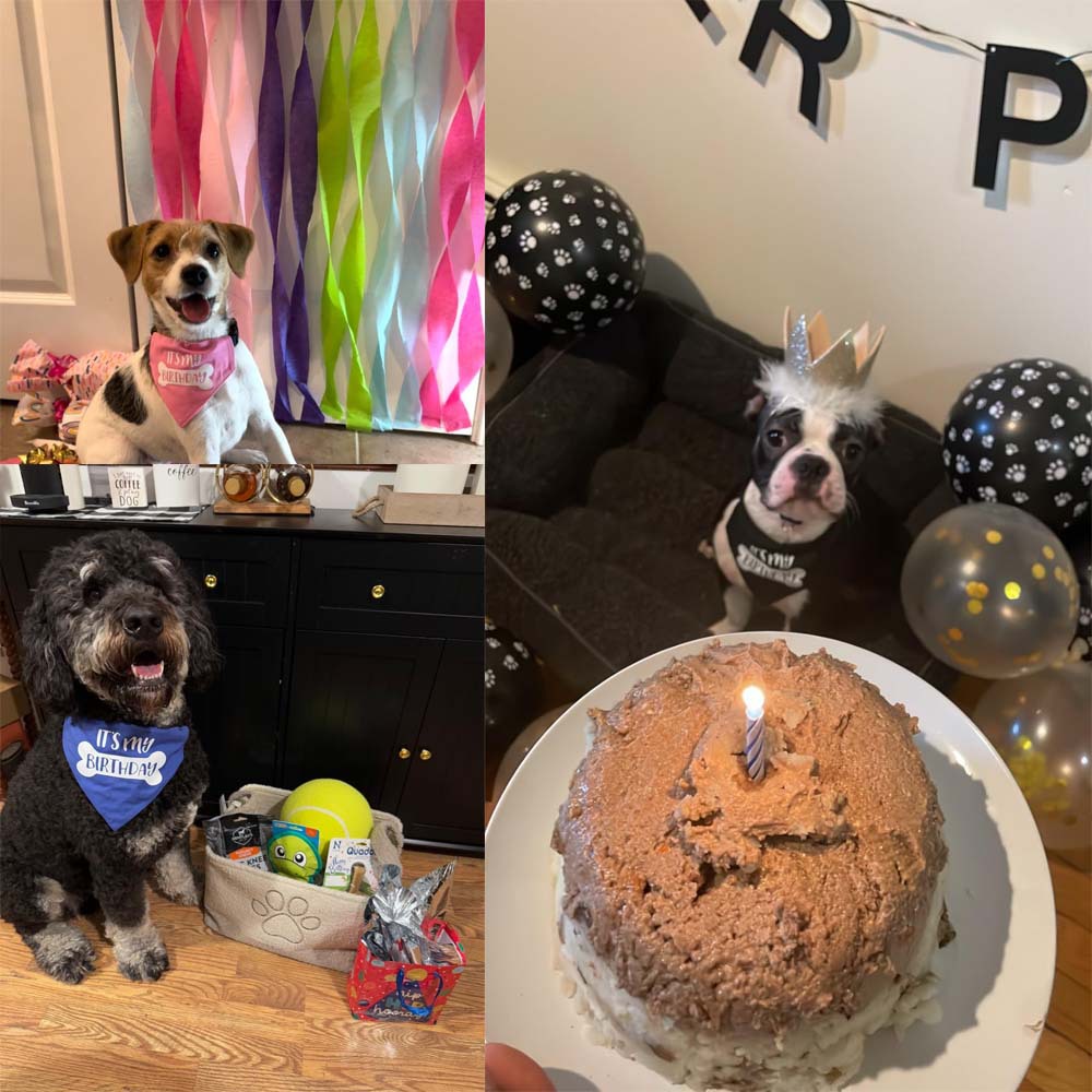 Tanpopo algodón perro saliva Toalla de cumpleaños triángulo toalla collar mascota perro bufanda mascota cumpleaños saliva toalla