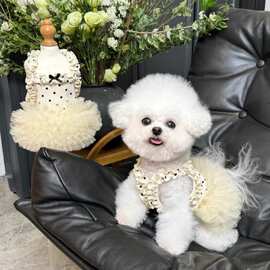 蓬蓬裙猫咪衣服轻薄狗狗裙子冬季婚礼兔子