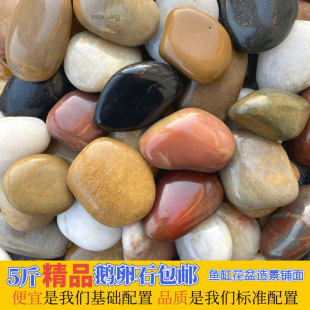 Rain Flower Stone Horticultural Stone Courtyard Garden Landscaping Bonsai Decoration Fleshy Paving Stone Hydroponic Pebbles