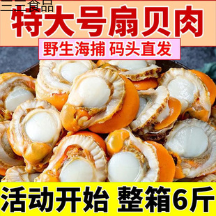 �ش�̖��ؐ�����r�ك����S�o���º��r�r�������հ��b250g