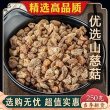 ɽ�ȹ� ��ș��ɽ�ȹ� ��؛�o���ɽ�ȹ�250�˰��]��Ҏ��