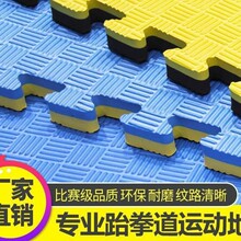 源頭工廠eva跆拳道墊子兒童爬行墊舞蹈體操訓練墊泡沫地墊100*100