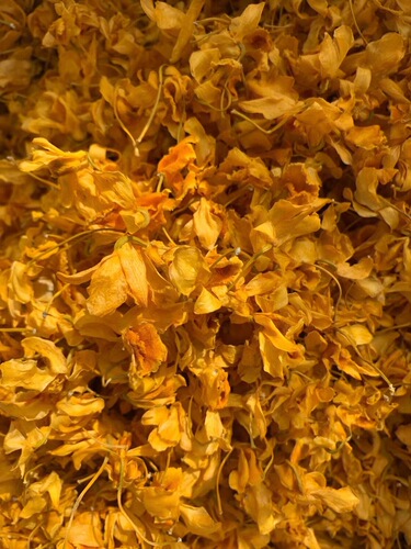 Yunnan Drumstick Dendrobium Flower New Arrival Iron Sheet Drumstick Dendrobium Flower Sky Seed Orchid Herbal Tea Supply Bulk Wholesale