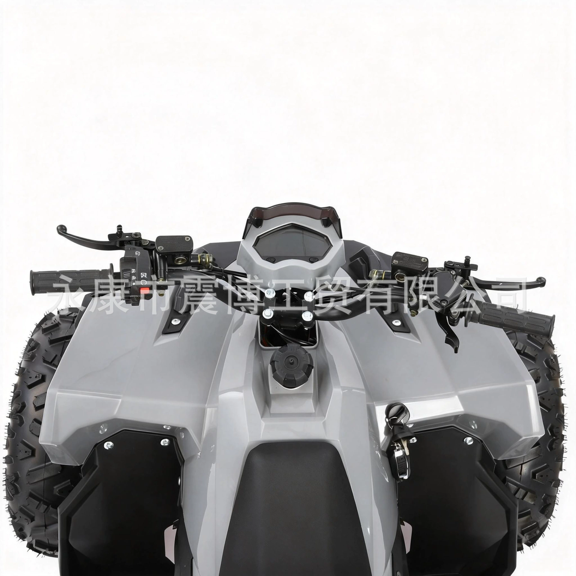 Экспорт Балонг 125cc внедорожный квадроцикл ATV для взрослых досуг аренда площадки внедорожное транспортное средство мотоцикл