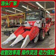 新型全自动大型玉米联合收割机扒皮茎穗兼收农用自走式玉米收获机