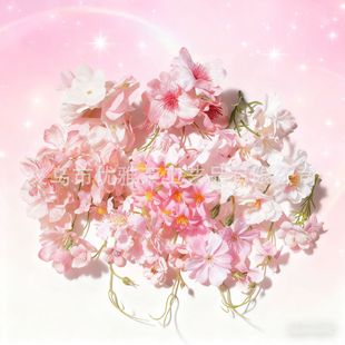 ��ɫ����ˮ�ݻ����diy�ֹ����ϰ����^���������^��h�l���b�