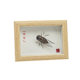 Wuhu Iron Painting Living Room Is Amazing Ornaments Handicrafts Anhui Special Gifts Conference Room Business Souvenirs