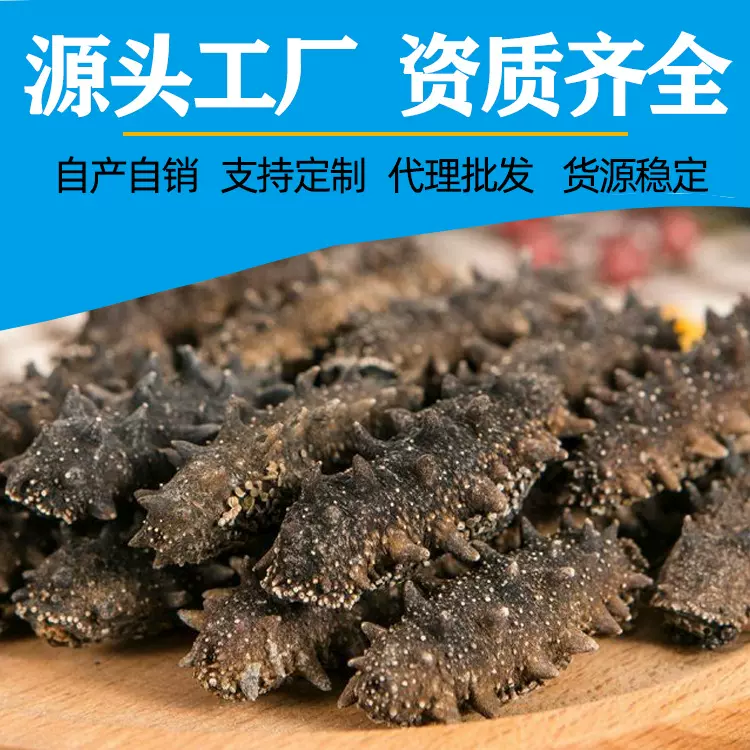 厂家批发纯淡干大连辽参干货辽刺淡干海参高泡发辽刺淡干海参干货