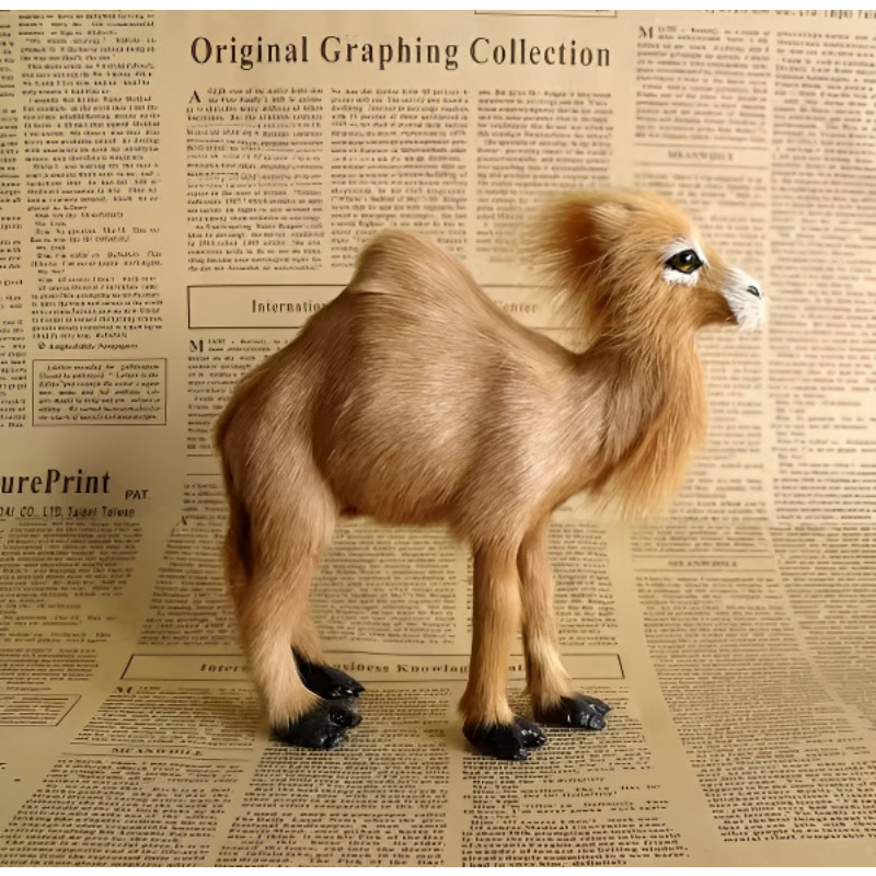 山羊皮加工幼儿认识认知教学模型静态动物橱窗摆件 仿真单峰骆驼