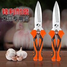 ���^������r�ô��[�������[���ü��Ӵ����ʡ���h�������