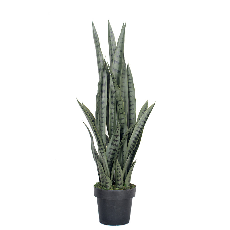 Simulación de borde amarillo tigre Pilan planta en maceta decoración decoración simulación lengua materna exterior Phnom Penh planta verde de hoja alta con maceta tigre Pilan image 6