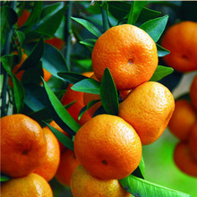 ɰ�����Ә���޽ӽ��������Ե��Ը��ٟo�����٘��箔��Y��������