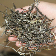 ���l2025����Zɽ�紺��������ɽ�����Ř���紺��ѿ����500g