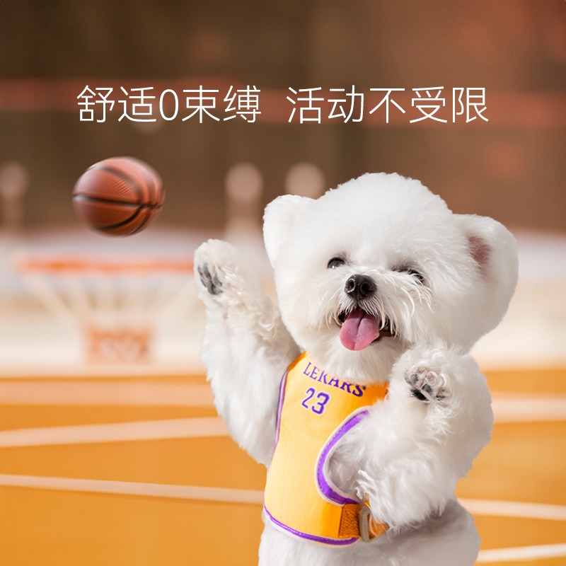 Perro Four Seasons chaleco deportivo transpirable cuerda de tracción perro mediano y pequeño mascota salida mascota caminando cuerda de perro