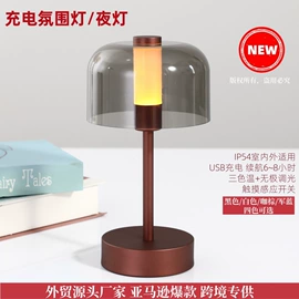 充电夜灯;创意夜灯;创意台灯