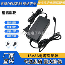 特美声飞扬拉杆音响充电器15V3A 2A变压器15v3a电源适配器