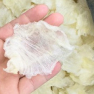 一手货源 水发鱼胶供应 巴沙胶系列斗湖开片胶 干低眼无齿芒鱼肚