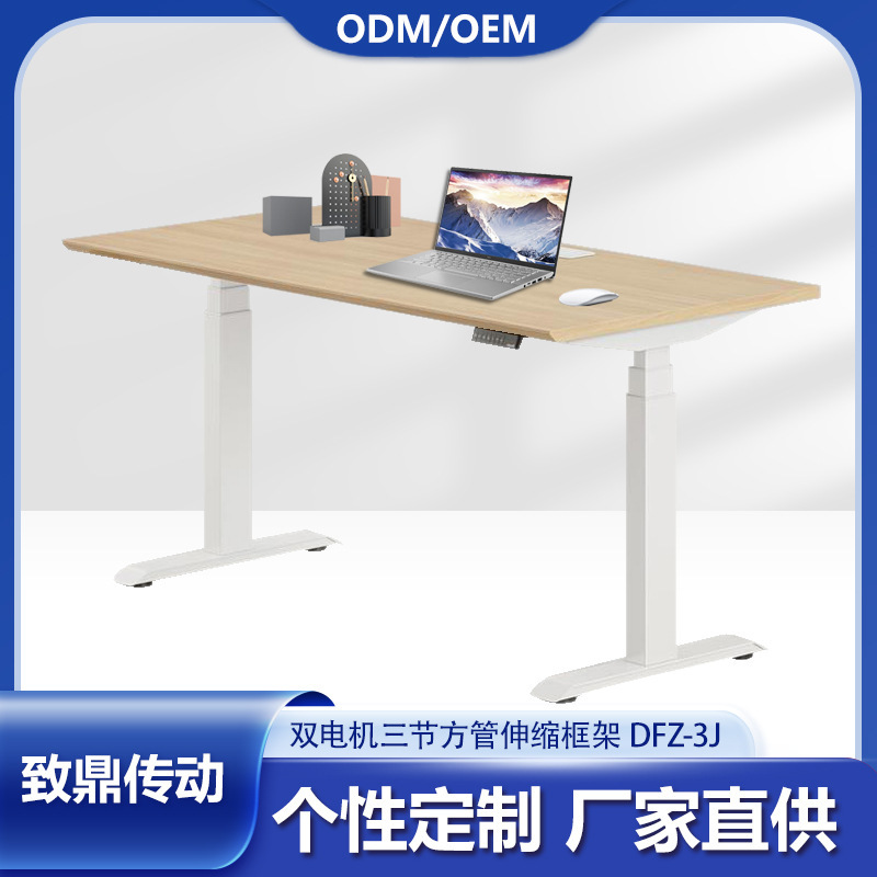 Dual Motor 3-Section Ergonomic Standing Desk Legs, Adjustable Computer Desk, Modern Minimalist Home Use