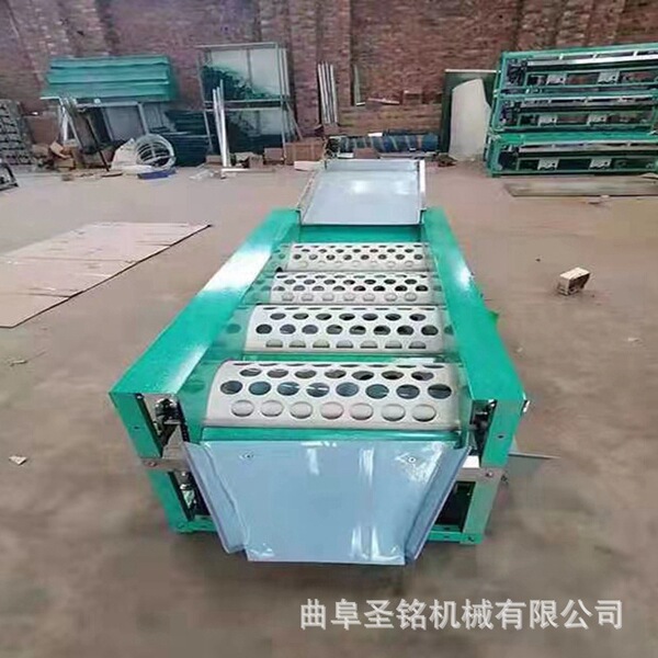 Citrus fruit sorting machine