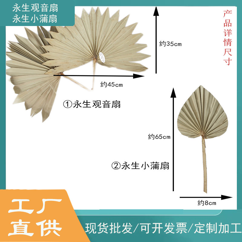Eternal life mini Guanyin fan