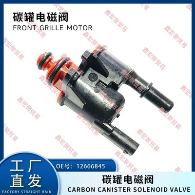 12666845 12707914 Suitable for Buick Cadillac Chevrolet Opel Gmc Carbon Canister Solenoid Valve (Oturacaq isitmə modulları)