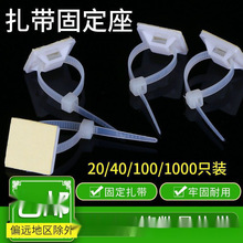 100ֻ�����������N늾��̶�����ᔠ��W���̾������������̶���