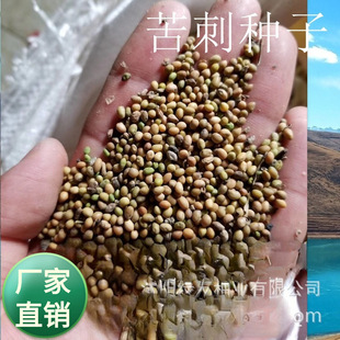 ���ѹ�˾���l�G�������o�¹�ľ�N�� ���  ������  ������ �״̻�