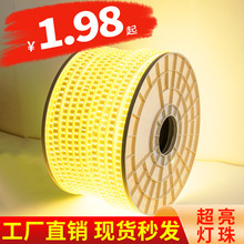 led灯带2835双排220V高压吊顶家装户外工程高亮防水批发发光光带