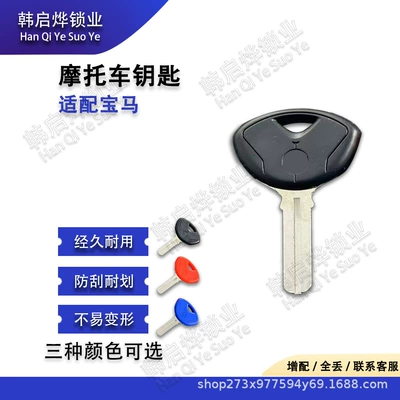 Suitable for Bmw K1200 K1300 S1000R R1200R Hp4 Chip Motorcycle Key Embryo