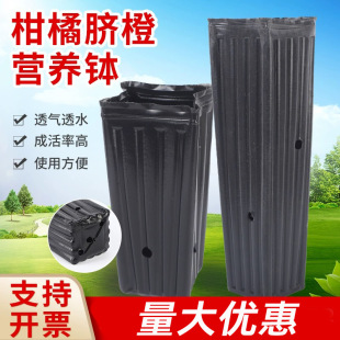 ���ٱ��ӸߠI�B���������籭����P���绨��Nֲ���Nֲ��