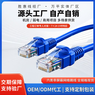 ǧ��1�׳�Ʒ�W������W�� cat6W�j����RJ45·������X�B�Ӿ�